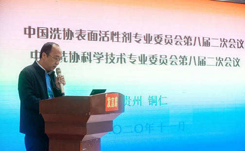2020中國(guó)洗協(xié)表委會(huì)科技委第八屆二次會(huì)議 2020中國(guó)洗協(xié)表委會(huì)科技委第八屆二次會(huì)議